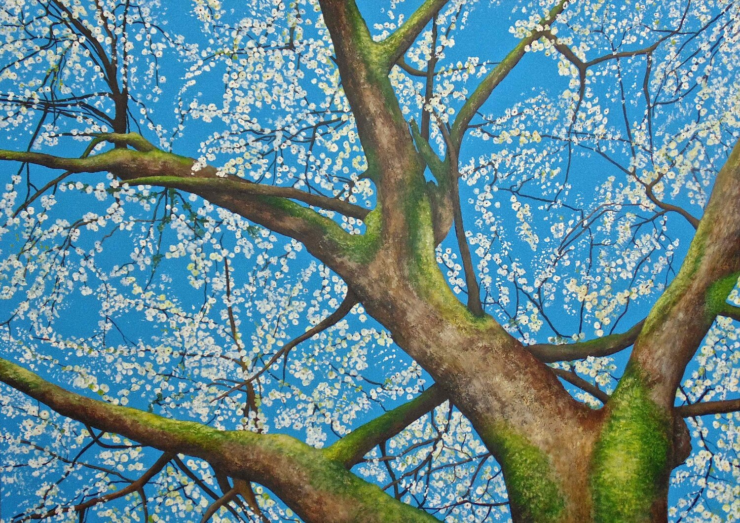 Apfelbaum Silvia Mende