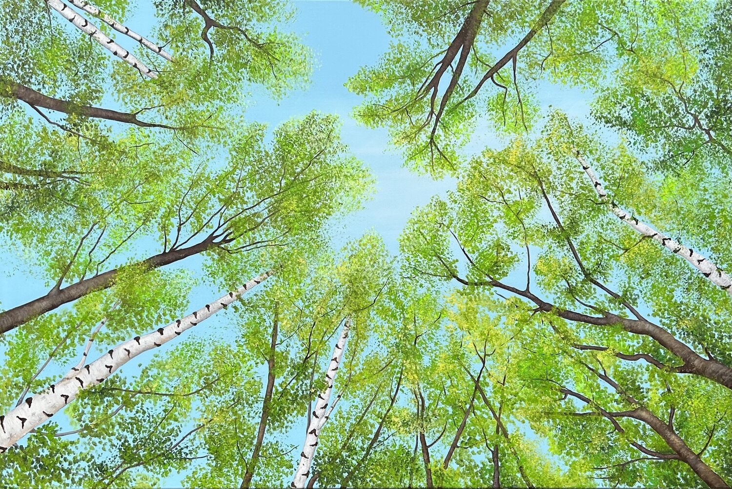 Frühlingswald Silvia Mende