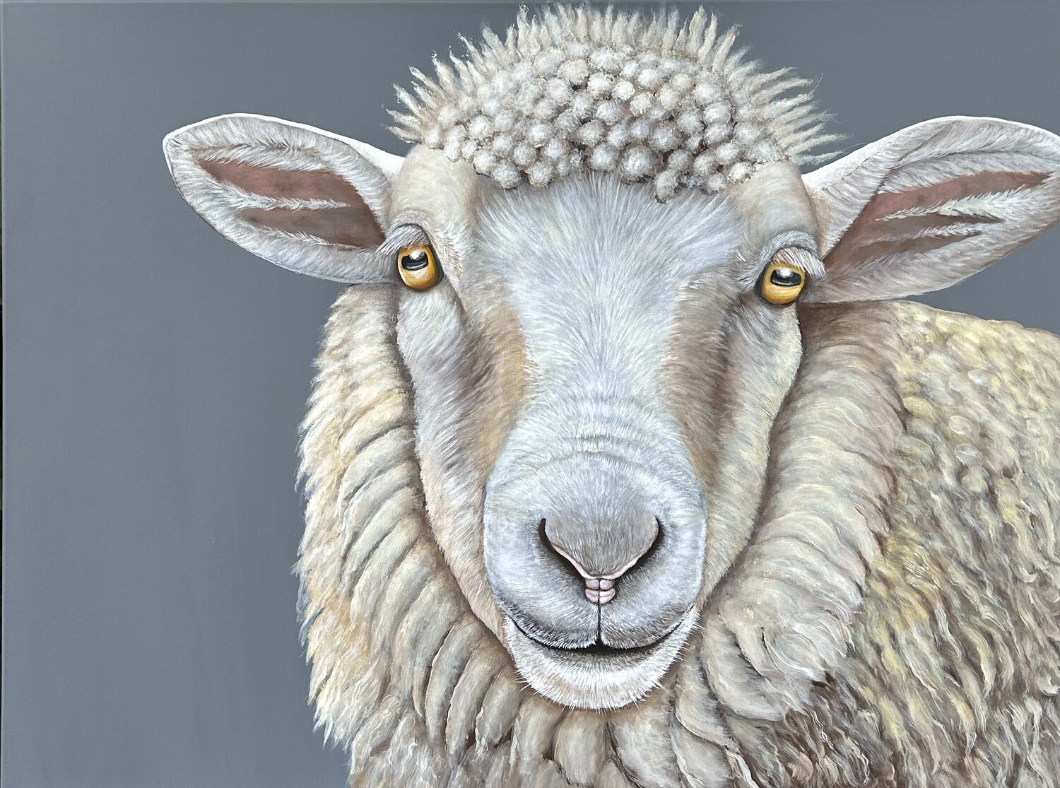 Merino-Schaf Silvia Mende