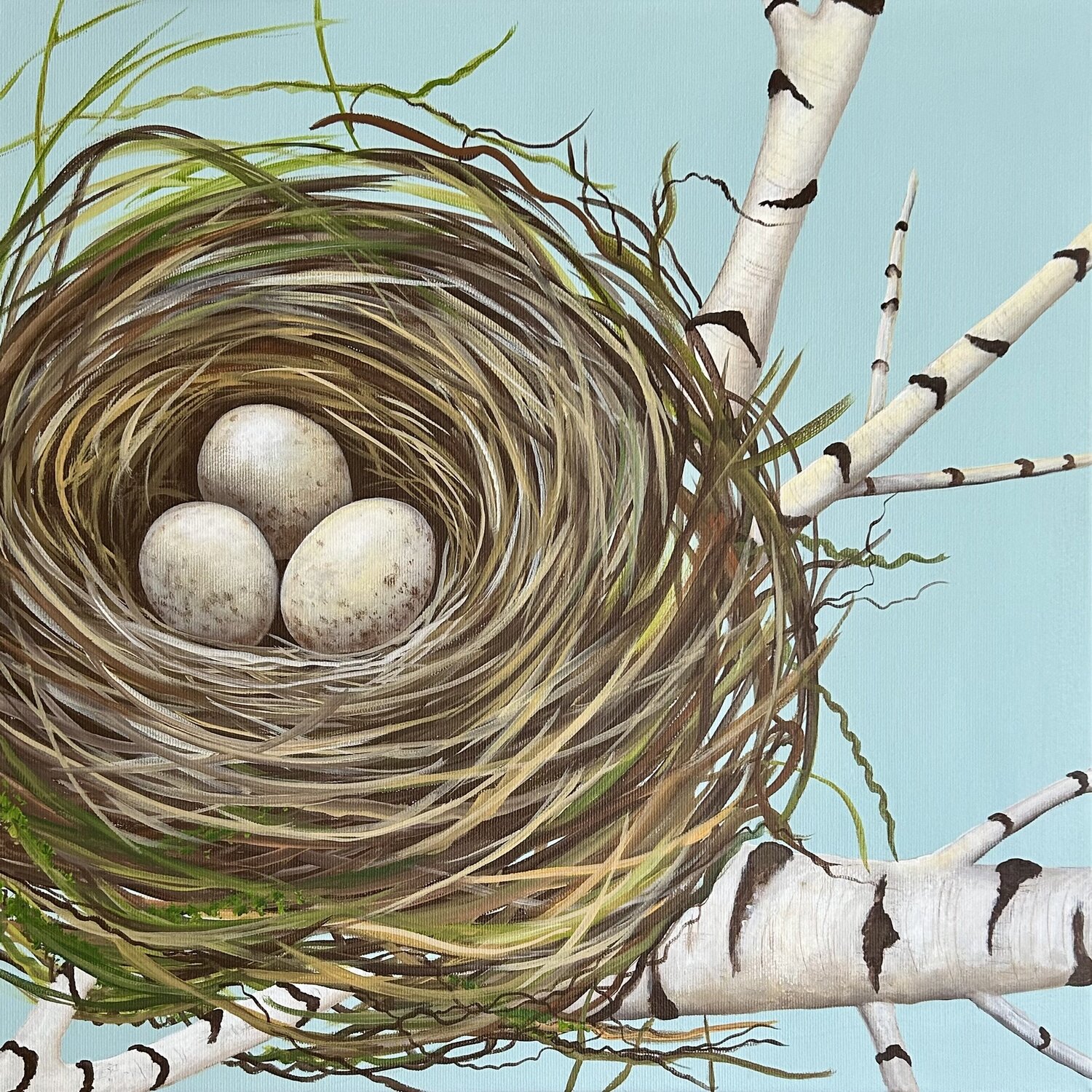 Nest im Birkenwipfel Silvia Mende Originalgemälde zu verkaufen