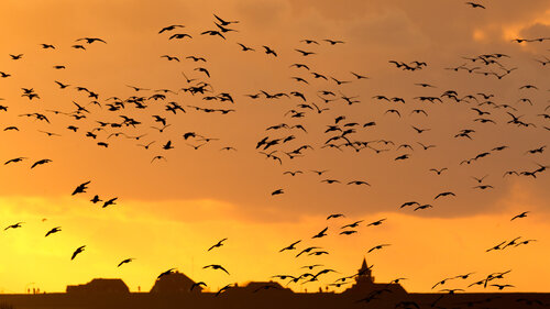 Abendspaziergang di Frederic Bauer, Fotografia in vendita su Singulart