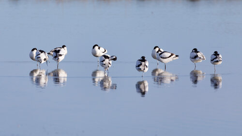 Sonne tanken von Frederic Bauer, Fotografie kaufen auf Singulart