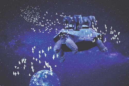 Erdkrötenbild von Frederic Bauer, Digital kaufen auf Singulart