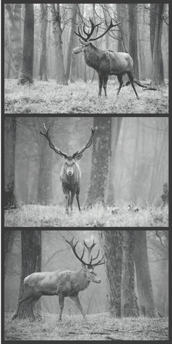 Hirsch im Wald von Frederic Bauer, Fotografie kaufen auf Singulart