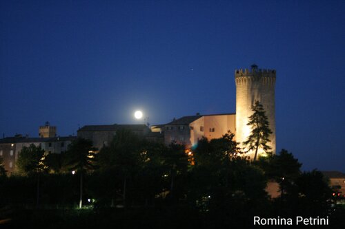 Natura 3 van Romina Petrini, Fotografie te koop op Singulart
