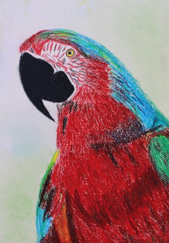 Avanti a Tutto Colore!!! Maestro d'Arte Patrizio Moscardelli van Romina Petrini, Schilderij te koop op Singulart