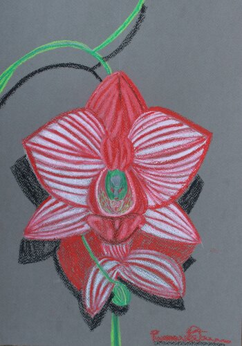 Oltre le tenebre van Romina Petrini, Schilderij te koop op Singulart