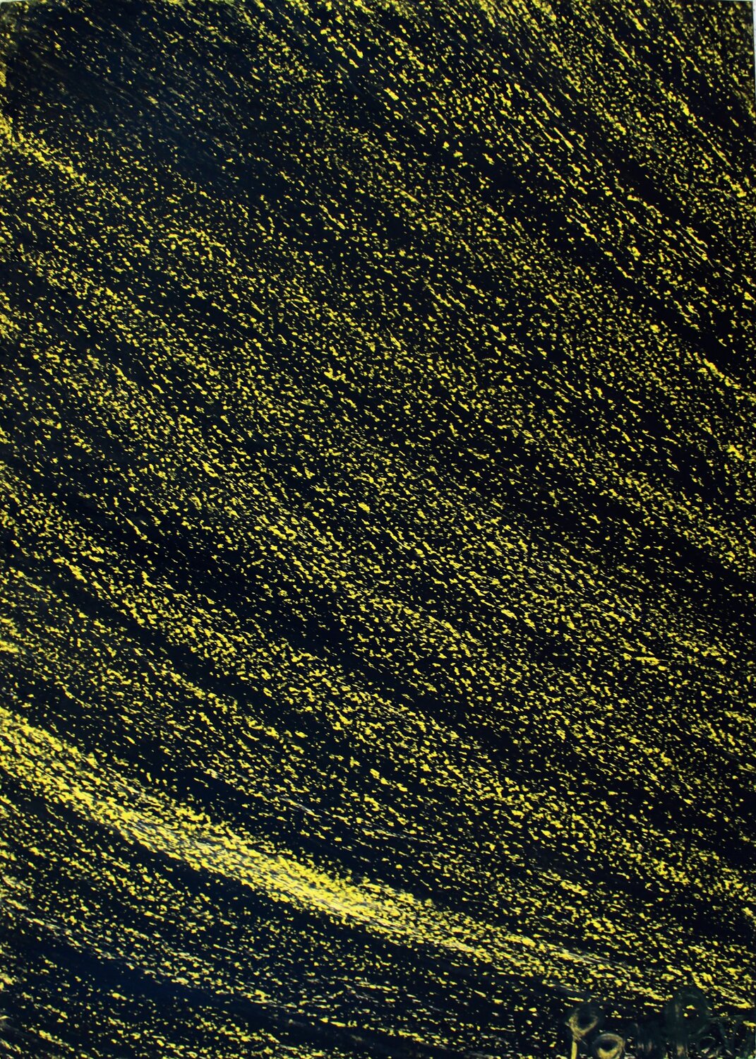 Flashes of Light Romina Petrini