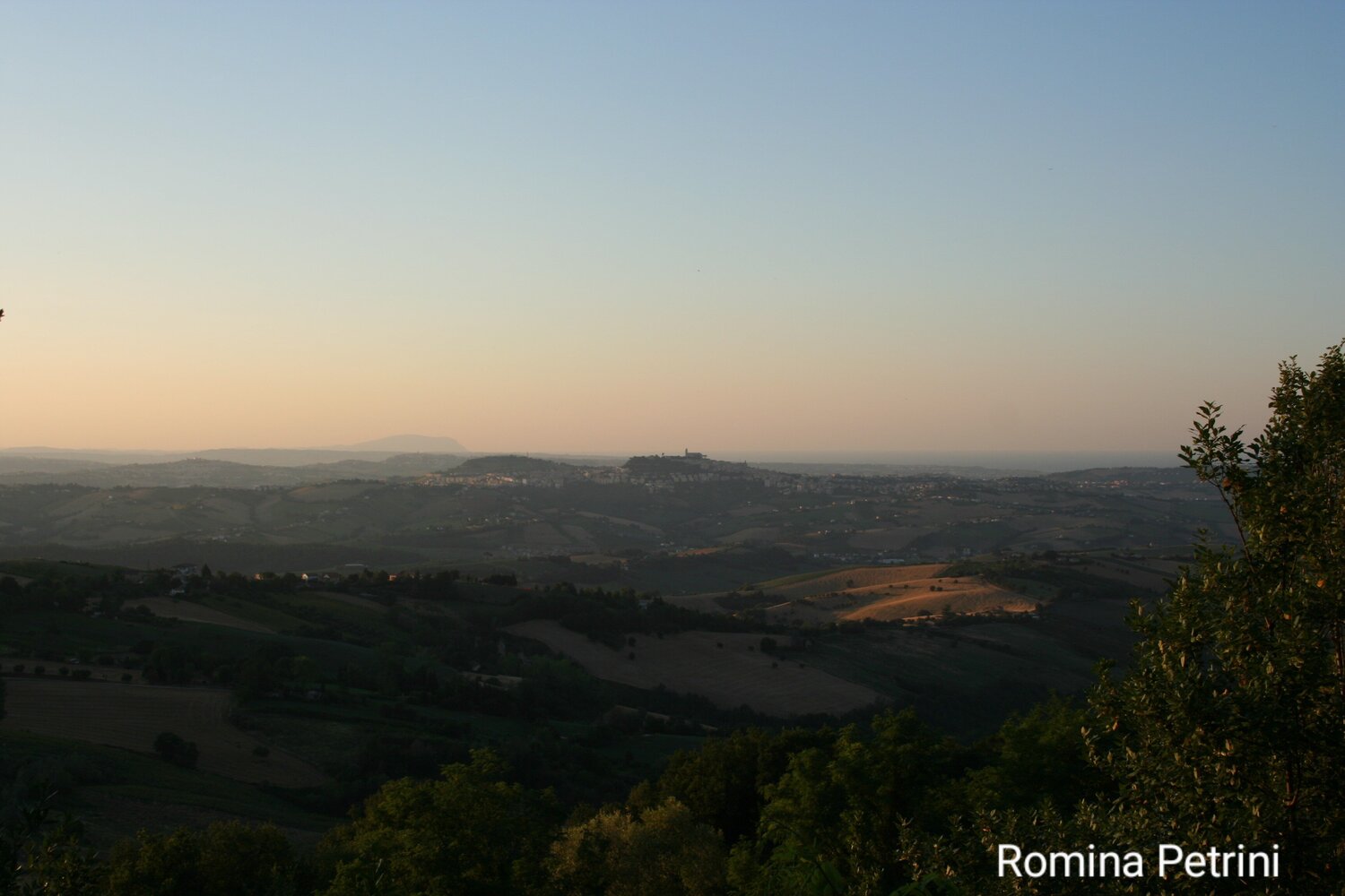 Natura 4 Romina Petrini