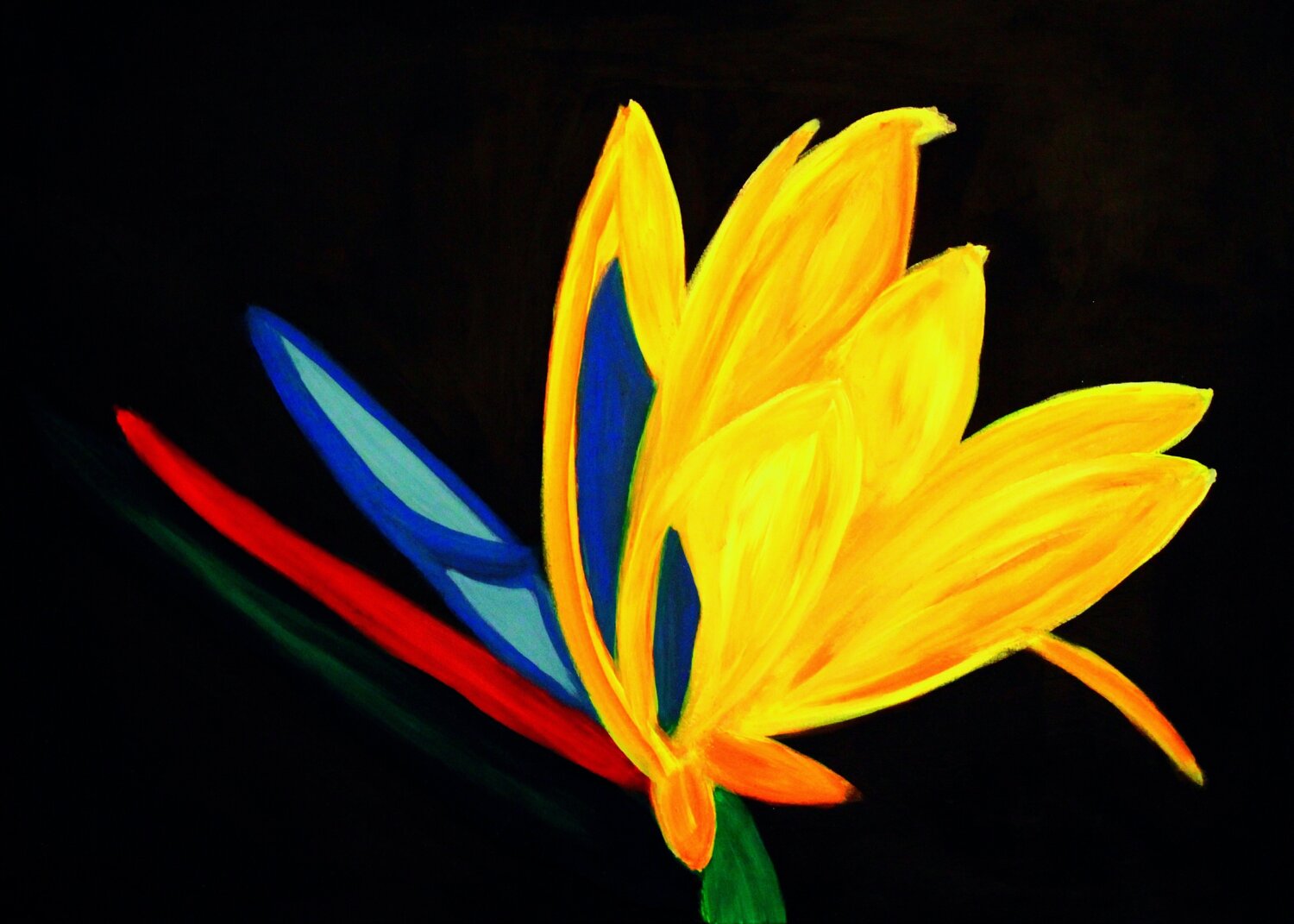 Un Fiore... Una Farfalla... Romina Petrini