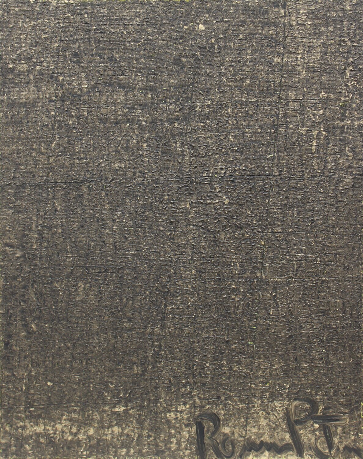 Pelle di elefante Romina Petrini