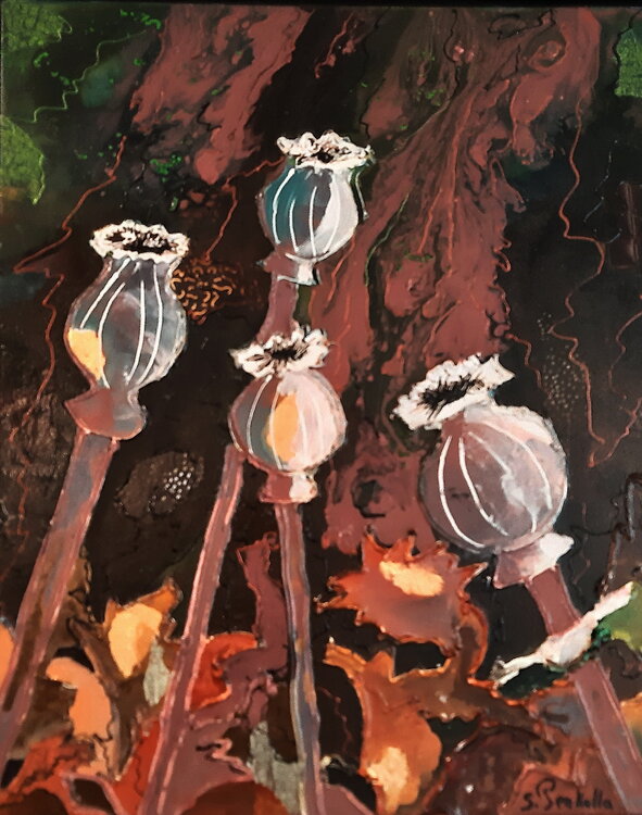 Apres la floraison sylvie Penkalla