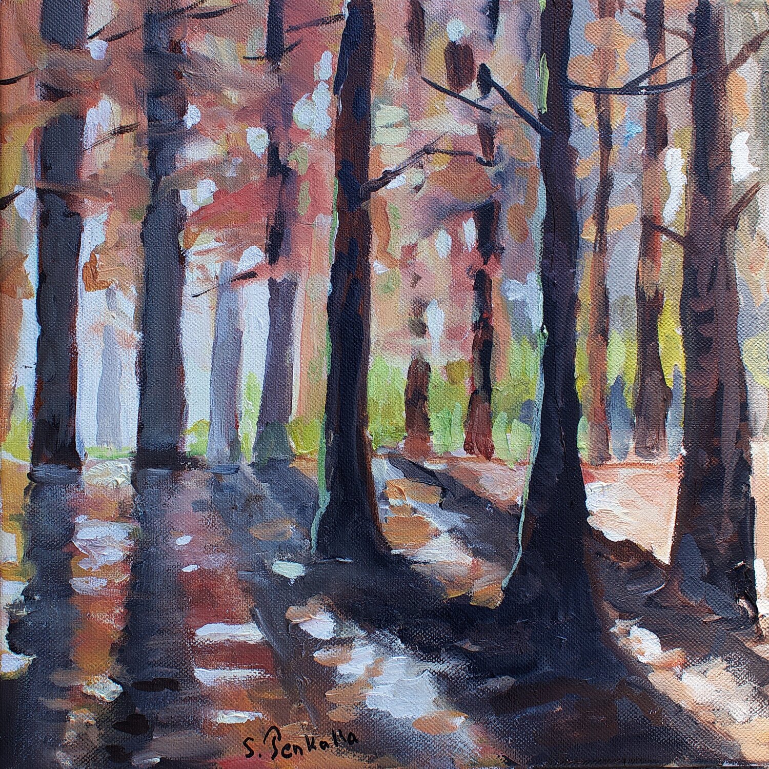 Foret sylvie Penkalla