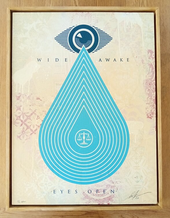 Wide Awake Eyes Open HPM Shepard Fairey