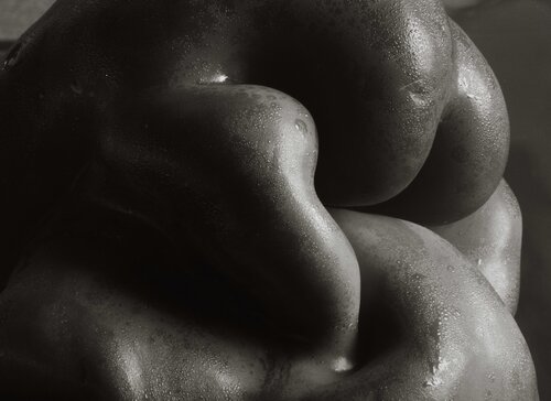 PEPPER 148 van Giuseppe Persia, Fotografie te koop op Singulart