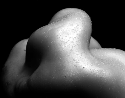 PEPPER 395 van Giuseppe Persia, Fotografie te koop op Singulart