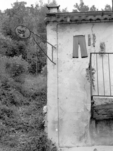 Terrazza con aglio von Giuseppe Persia, Fotografie kaufen auf Singulart