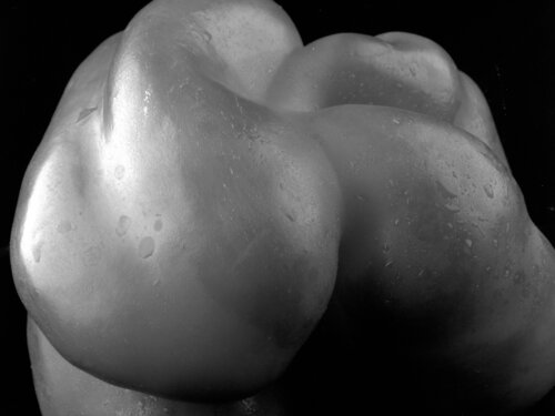 PEPPER 1017 von Giuseppe Persia, Fotografie kaufen auf Singulart