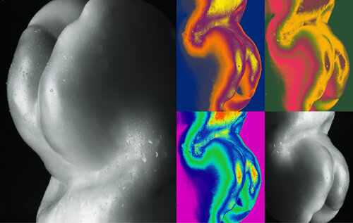 PEP-ART 593 van Giuseppe Persia, Fotografie te koop op Singulart