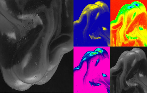 PEP-ART 129 di Giuseppe Persia, Fotografia in vendita su Singulart