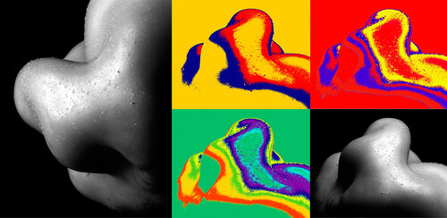 PEP-ART 395 di Giuseppe Persia, Fotografia in vendita su Singulart