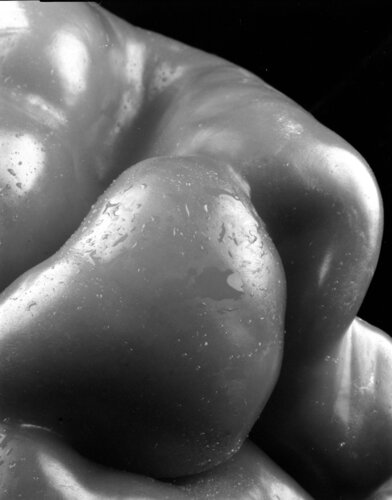 PEPPER 1043 von Giuseppe Persia, Fotografie kaufen auf Singulart