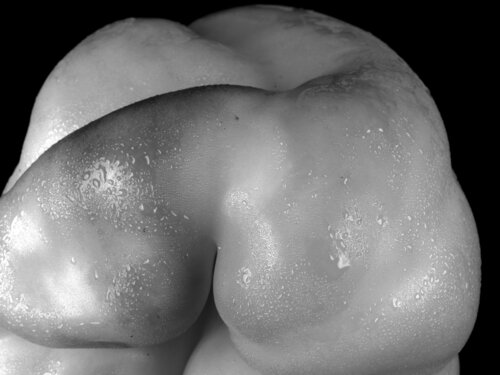 PEPPER 1.143 van Giuseppe Persia, Fotografie te koop op Singulart