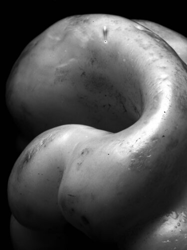 Pepper 468 von Giuseppe Persia, Fotografie kaufen auf Singulart
