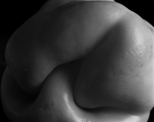 pepper 128 von Giuseppe Persia, Fotografie kaufen auf Singulart