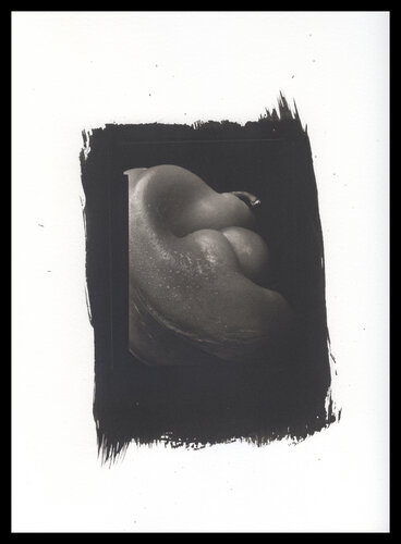 GREEN PEPPER (Platinum photography) von Giuseppe Persia, Fotografie kaufen auf Singulart