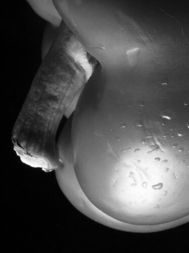 Peepper 317 par Giuseppe Persia, Photographie en vente sur Singulart