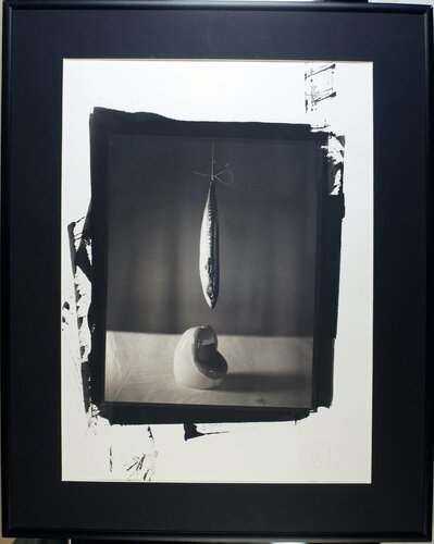 NATURA MORTA CON PESCE par Giuseppe Persia, Photographie en vente sur Singulart