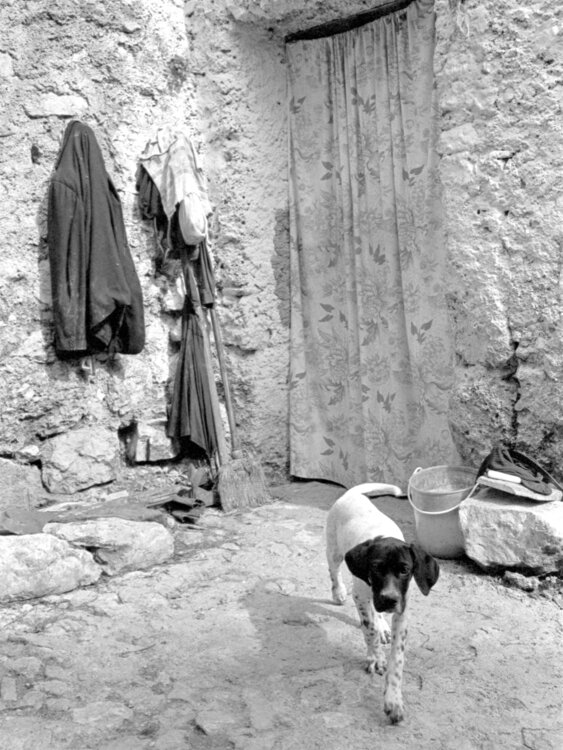 LA CASA DEL BOSCAIOLO Giuseppe Persia