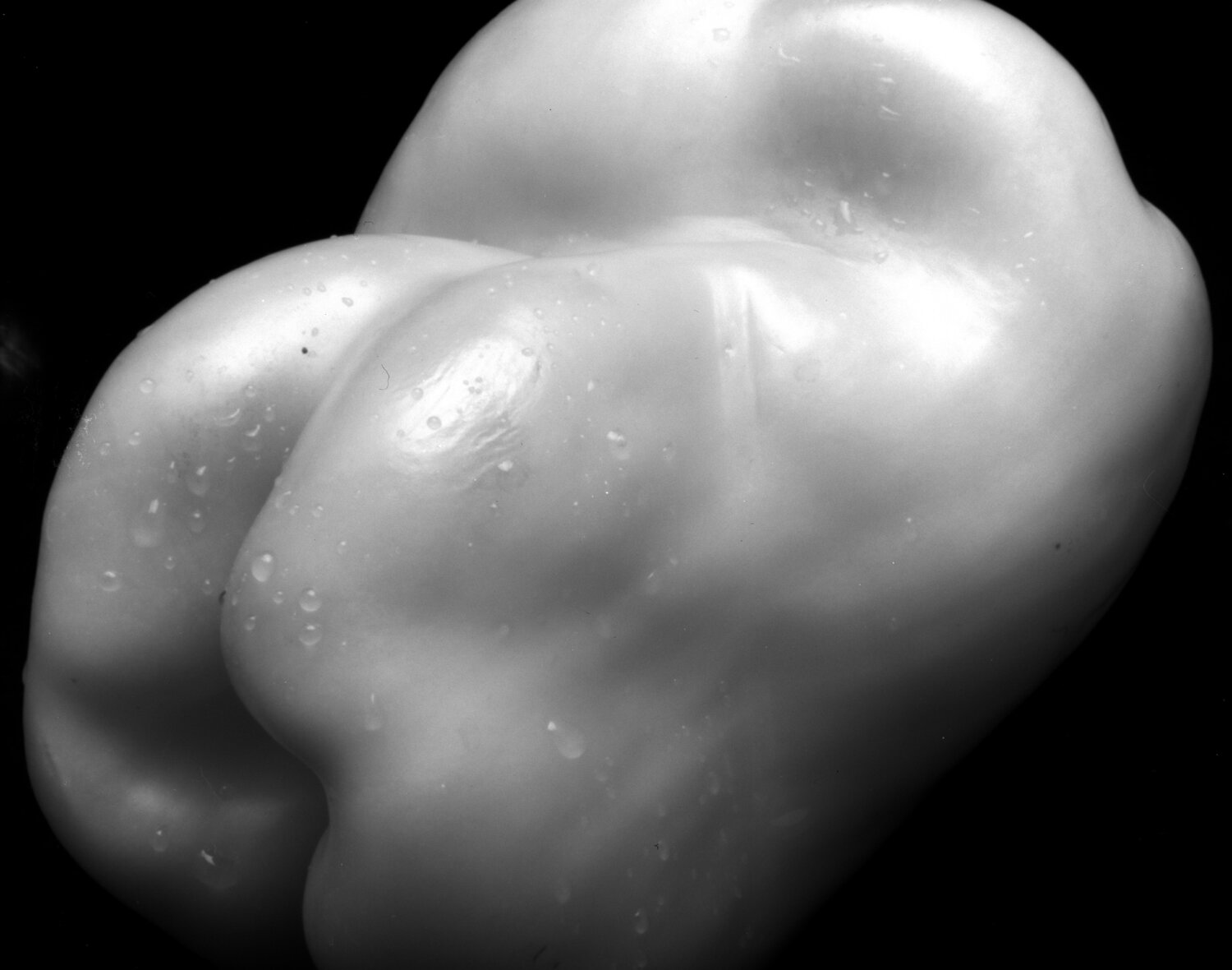 pepper 588 Giuseppe Persia