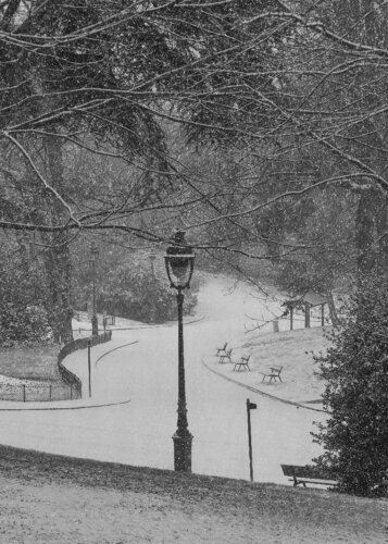 Untitled – (snow in the park) van Fernando Grilli, Fotografie te koop op Singulart