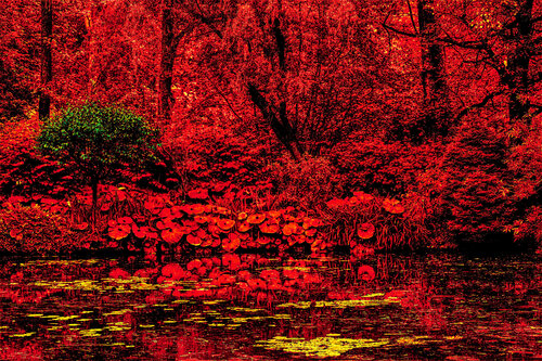 Lady of the Lake in Red van Fernando Grilli, Fotografie te koop op Singulart