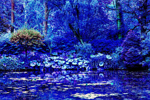 Lady of the Lake in Blue van Fernando Grilli, Fotografie te koop op Singulart