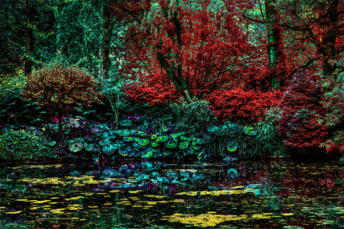 Lady of the Lake van Fernando Grilli, Fotografie te koop op Singulart