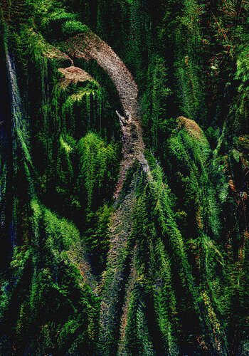 Amazônia - The Silenced Cry van Fernando Grilli, Werk op papier te koop op Singulart