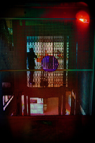 Untitled 2 – (Dreams and Dalliances) van Fernando Grilli, Fotografie te koop op Singulart