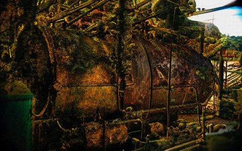Untitled 4 – (Dreams and Dalliances) van Fernando Grilli, Fotografie te koop op Singulart