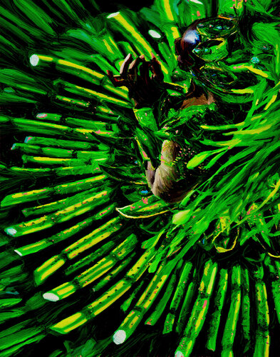 Mahogany in Green van Fernando Grilli, Fotografie te koop op Singulart
