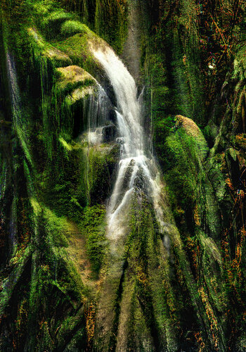 Amazônia - The Silenced Cry van Fernando Grilli, Fotografie te koop op Singulart