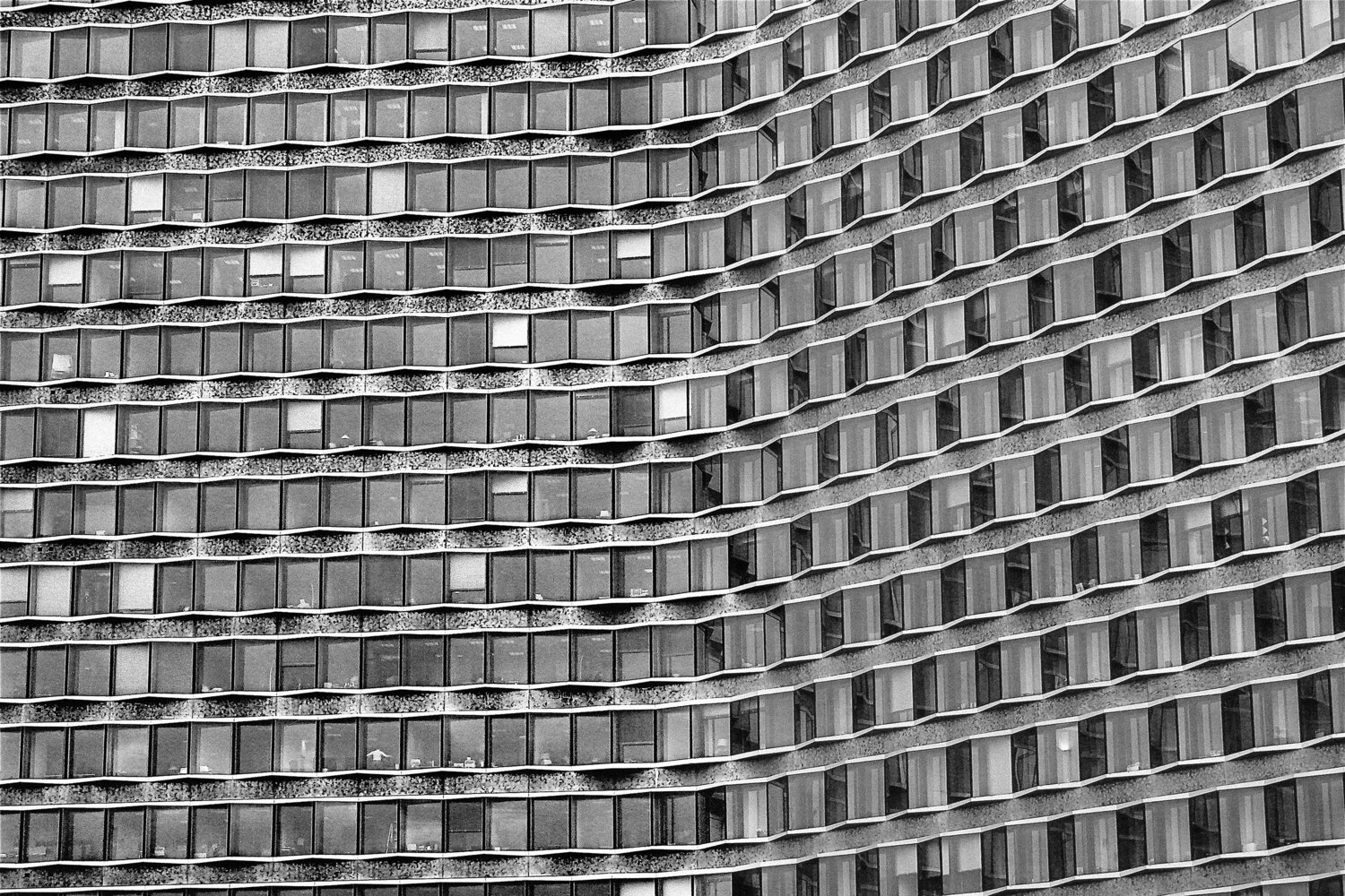 Windows Fernando Grilli
