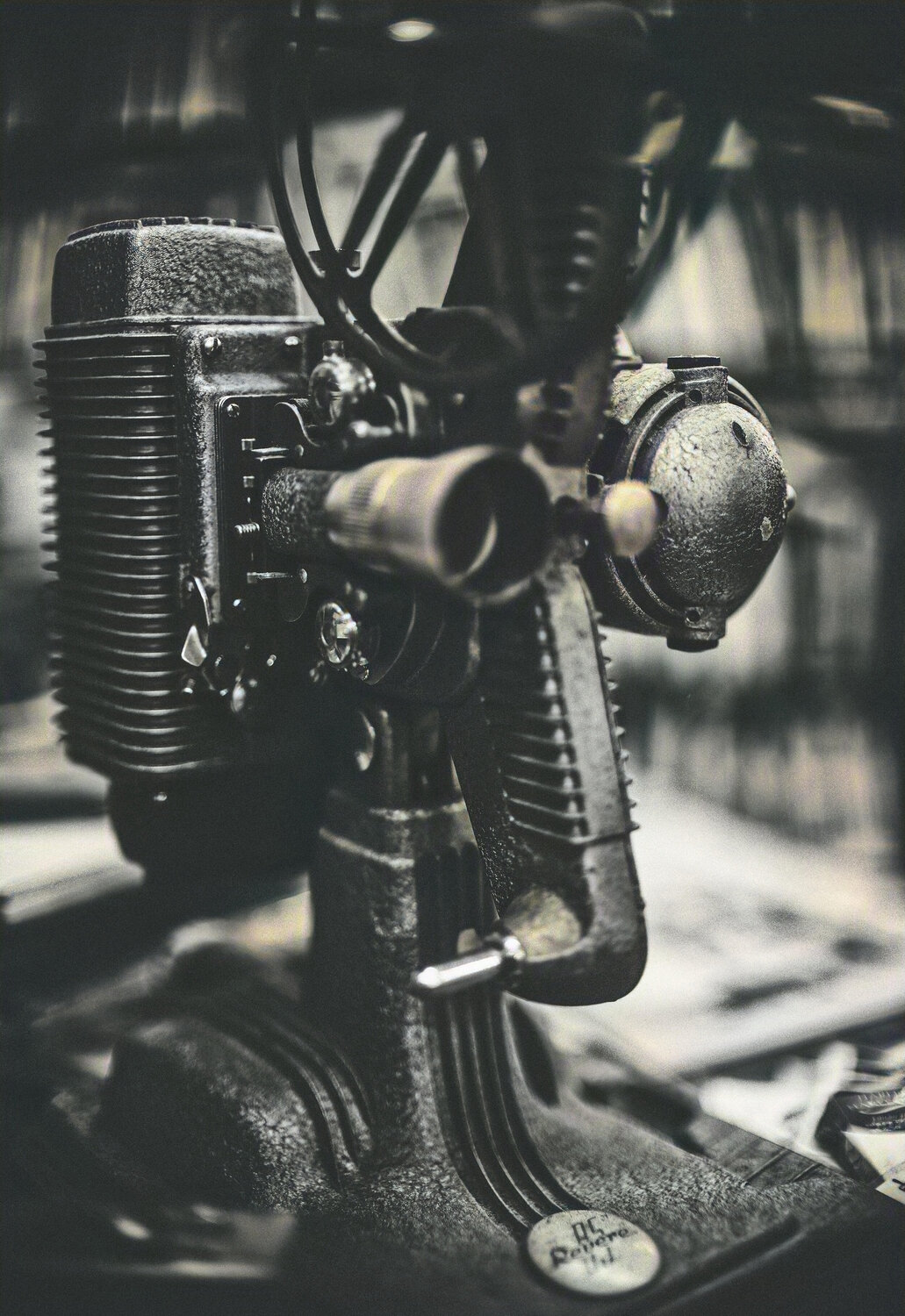 The Revere Fernando Grilli