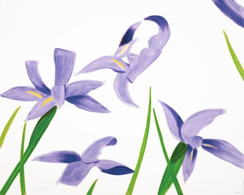 Purple Irises on White by Alex Katz, Print for Sale on Singulart