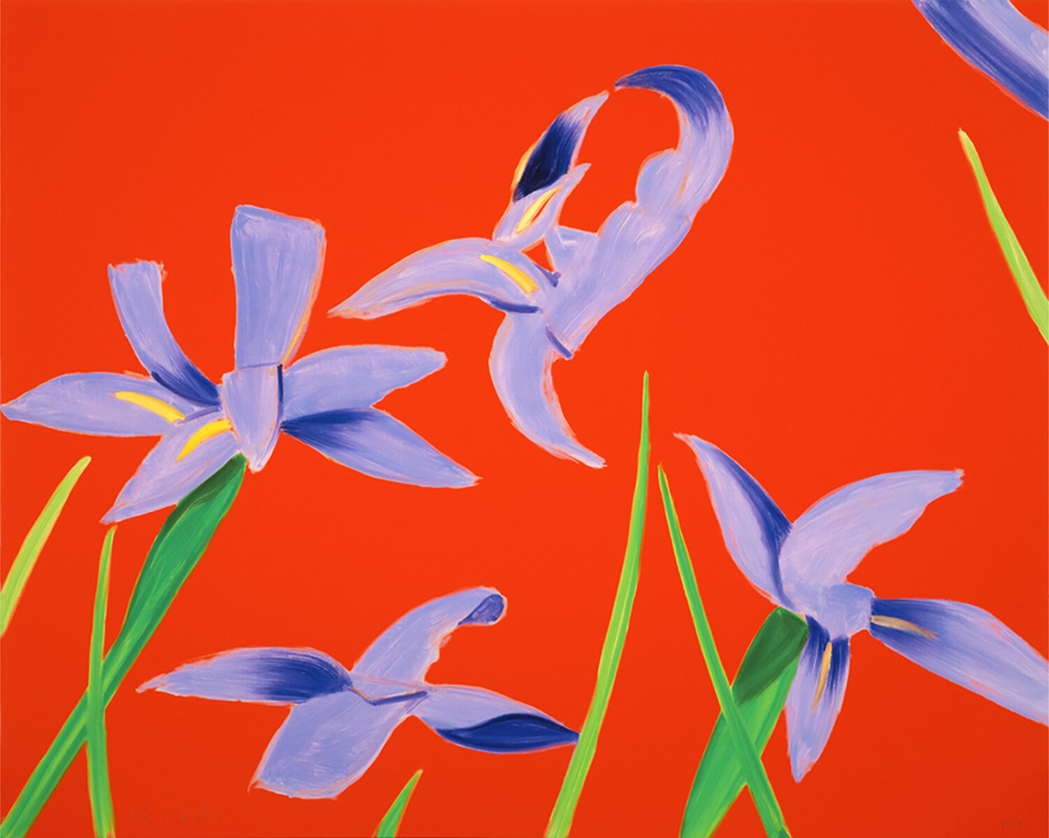 Purple Irises on Red Alex Katz Stampa in vendita