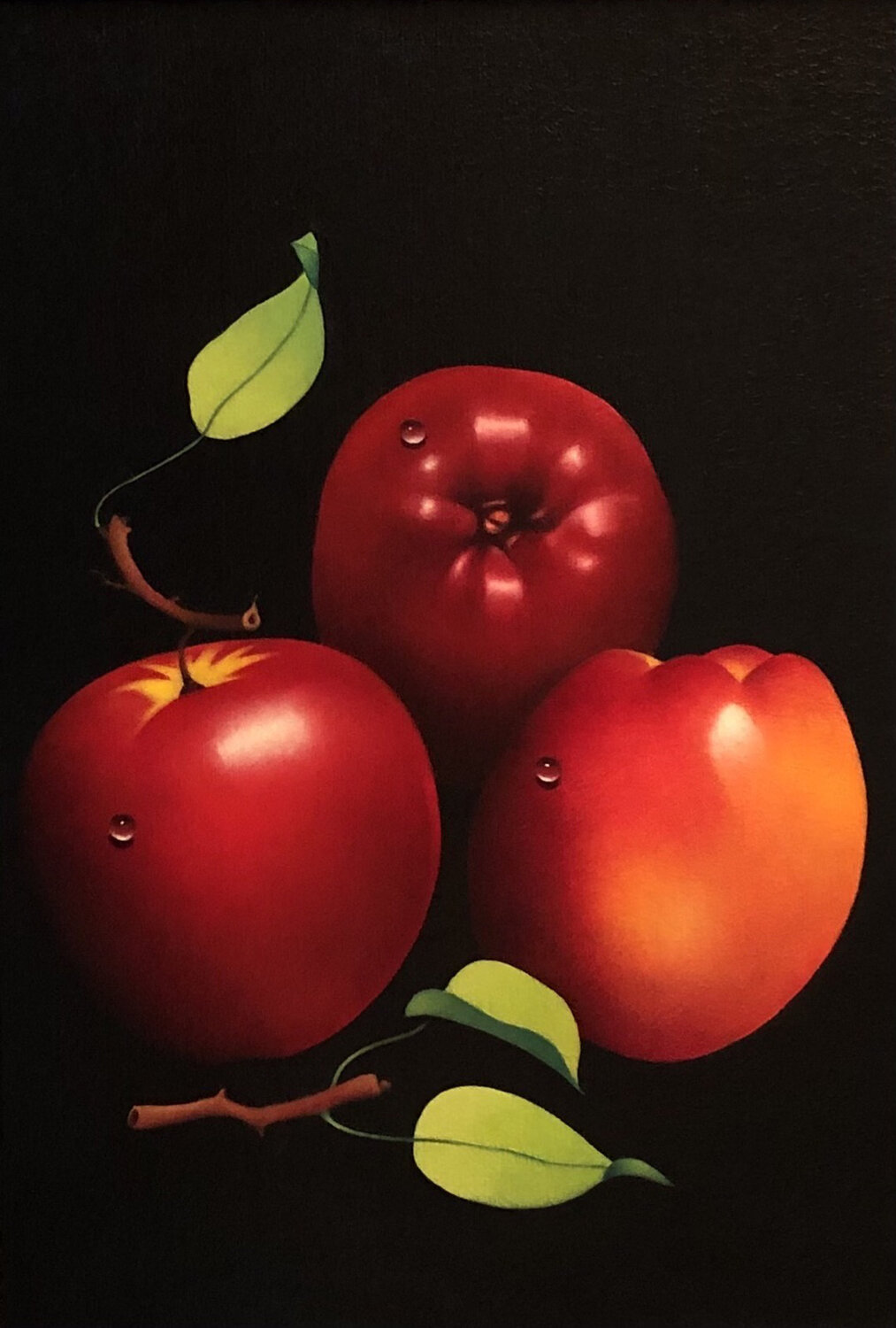 Apples Katalin Nemethy