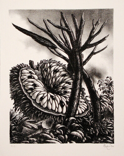 La Corona van Ramon Alejandro, Afdruk te koop op Singulart