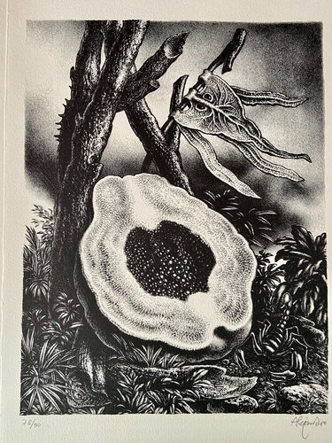 Corona de las frutas I van Ramon Alejandro, Afdruk te koop op Singulart